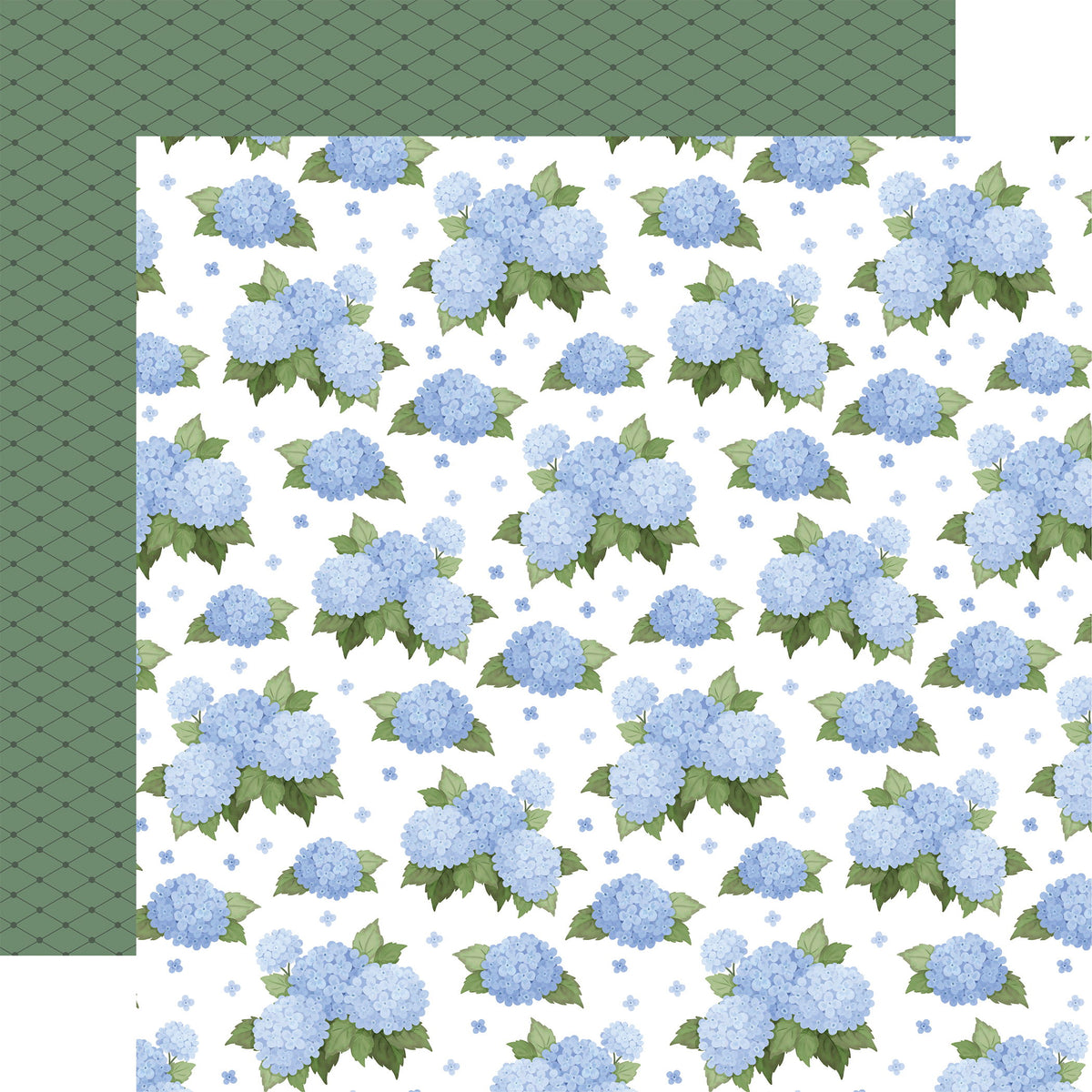 Carta Bella Flower Shoppe: Happy Hydrangeas DS Paper (1 Sheet)
