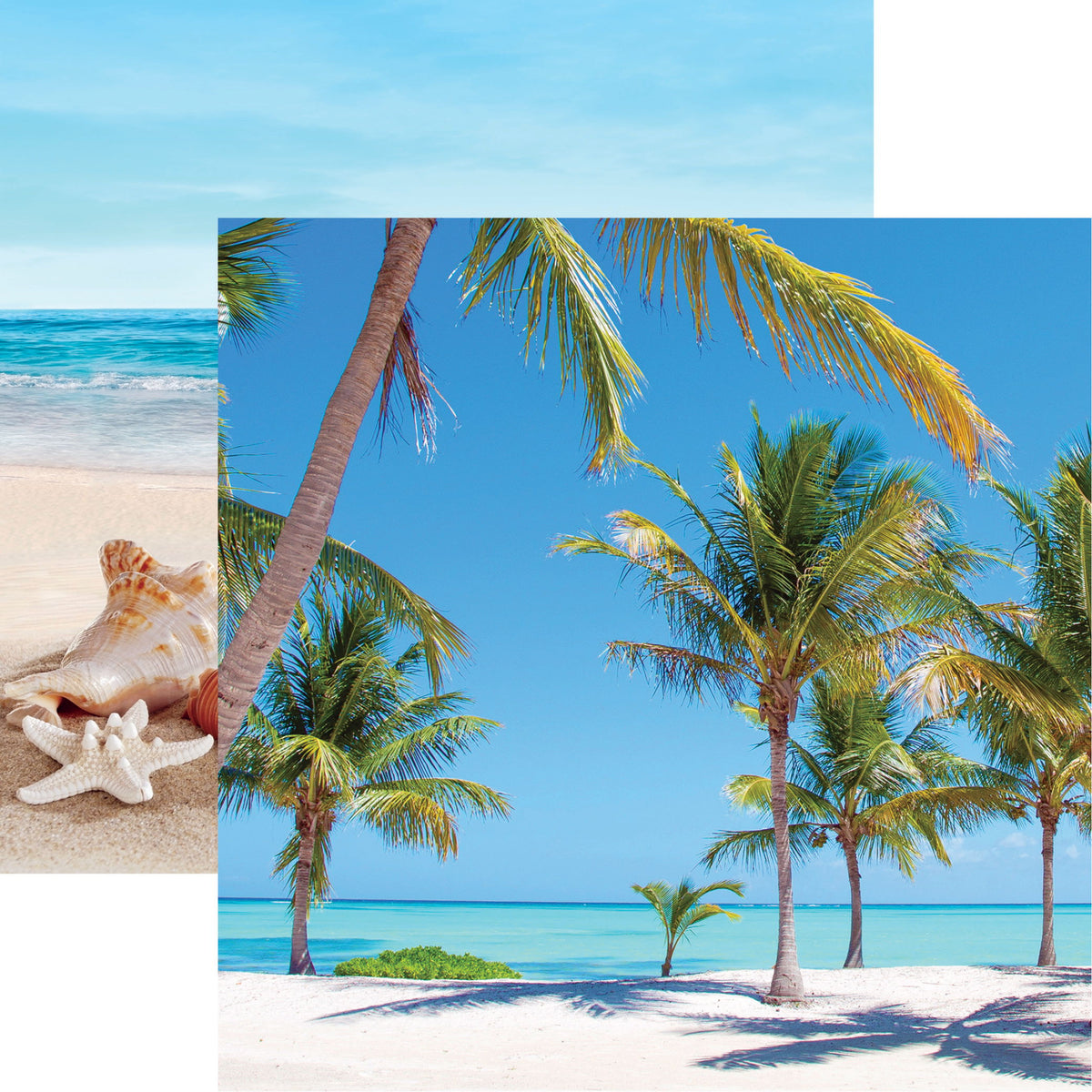 Reminisce Coastal Serenade: Palm Trees DS Paper (1 Sheet)